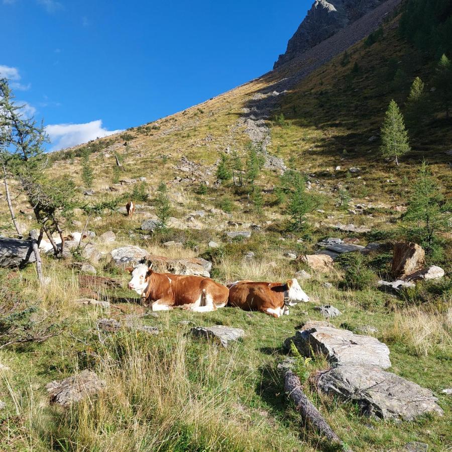 Ausserwalderhof Innervillgraten Kültér fotó